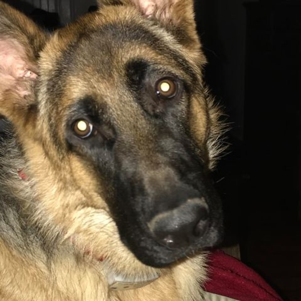 Meet your Posher, Beverly